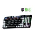 GAMEPOWER EVA 5 BLUE SWITCH 88 MEKANİK KLAVYE RBW