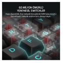 GAMEPOWER EVA 5 BLUE SWITCH 88 MEKANİK KLAVYE RBW