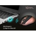 INCA IWM-396GT 1600 DPI SESSİZ ROSE GOLD WIRELESS MOUSE