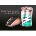 INCA IWM-396GT 1600 DPI SESSİZ ROSE GOLD WIRELESS MOUSE