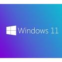 MICROSOFT WINDOWS 11 PRO FQC-10556 64Bit (OEM) Türkçe