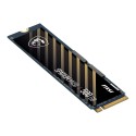 MSI 500GB SPATIUM M450 V1 NVME M.2 SSD R:3000 W:2000,PCIe 4.0,3D NAND,Gen4 SSD MSI 500GB SPATIUM M450 V1 NVME M.2 SSD R:3000 W:2000,PCIe 4.0,3D NAND,Gen4 SSD