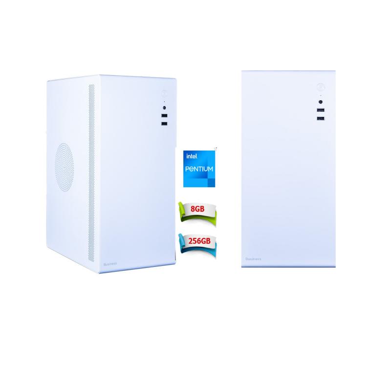 PCPRO G840 PENTIUM 2.80GHZ 3MB 8GB 256GB SSD ONB-VGA FreeDOS Masaüstü Ev Ofis Bilgisayarı