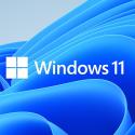 WINDOWS 11 PRO OEM  64BIT İngilizce FQC-10528